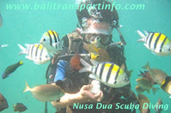 Tanjung Benoa Scuba Diving