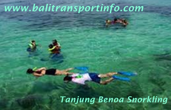 Tanjung Benoa Snorkeling